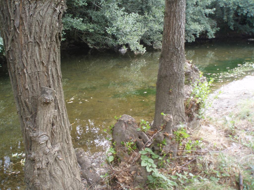 Moinho Da Ponte Velha ξενώνας Bragança Εξωτερικό φωτογραφία